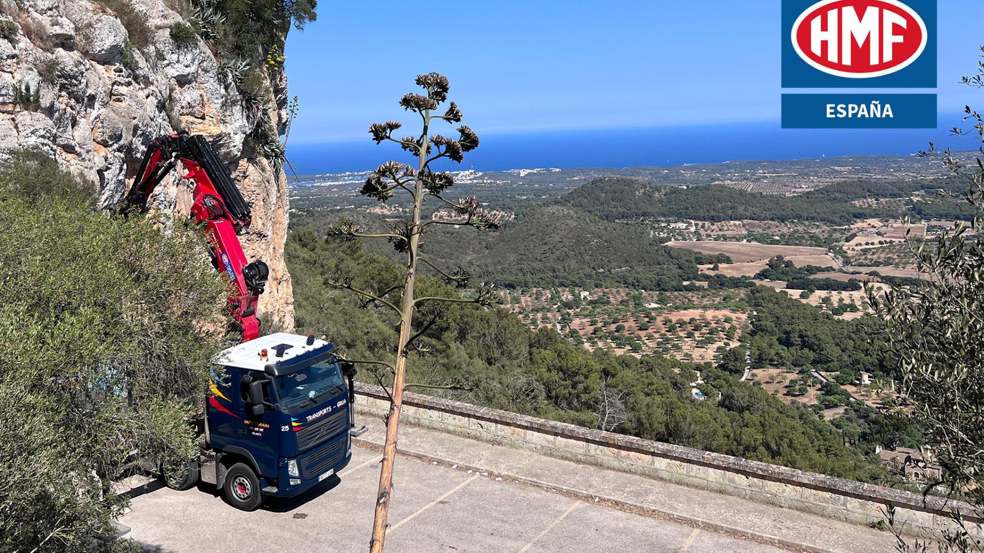 HMF Espagne : nouvelle filiale pour stimuler la croissance en Espagne HMF Espagne : nouvelle filiale pour stimuler la croissance en Espagne